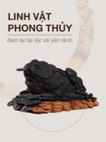 nổi bật