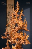 nổi bật
