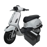 PIN SELEX 60V20AH ALLY VEGAS PRO