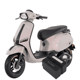 PIN SELEX 60V20AH OSAKAR NISPA VERA SX