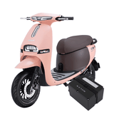 PIN SELEX 60V20AH OSAKAR GOGO FIONA