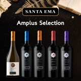 Rượu vang Amplus Santa Ema.