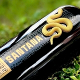 Rượu vang Santana