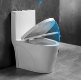 BỒN CẦU LIỀN KHỐI SỨ TRẮNG KA3919