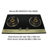Bếp ga 2