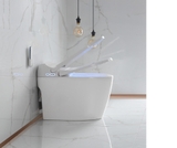 K6916 - Bồn cầu thông minh cao cấp full chức năng,  có xịt bọt