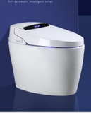 K6905A - Bồn cầu thông minh cao cấp full chức năng, tự động mở nắp, sấy khô, sưởi ấm ghế ngồi...