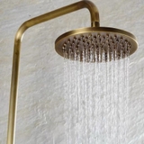 SC3305 - Sen cay cổ điển đồng xước cao cấp