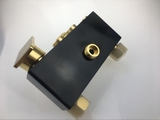 SC3303 - Sen cây nhiệt động đen vàng 3 nhấn củ vuông cao cấp