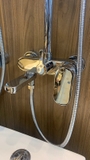 SC1107 - Sen cây nhiệt độ đồng mạ crom bóng cao cấp