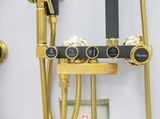 SC1983 - Sen cây nhiệt độ massager 5 nút xoay màu đen vàng cao cấp