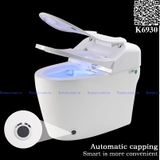 K6930 - Bồn cầu thông minh cao cấp full chức năng