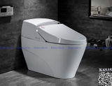 K6935 - Bồn cầu thông minh cao cấp full chức năng