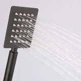 SC1103 - Sen cây nhiệt độ inox 304 sơn tĩnh điện đen cao cấp