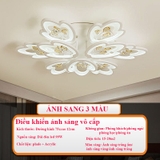 OT007 - Đèn pha lê ốp trần cao cấp