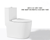 K8089 - Bồn cầu liền khối ghi trắng, men nano tuyết chống bám dính, bộ xả cao cấp, nước xả mạnh và êm.