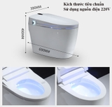 K6925 - Bồn cầu thông minh cao cấp full chức năng, có xịt bọt