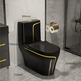 KA608 - Bồn cầu liền khối sứ nung tráng men nano đen viền sọc vàng cao cấp