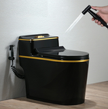 KA3625 - Bồn cầu liền khối sứ nung tráng men nano đen viền vàng cao cấp