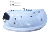TP8004 - BỒN TẮM MASSAGER HÌNH QUẢ XOÀI 1 GỐI 3 MẶT YẾM 