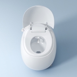 K6903 - Bồn cầu trứng thông minh cao cấp full chức năng, tự động mở nắp, sấy khô, sưởi ấm ghế ngồi...