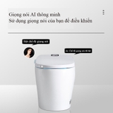 K6904- Bồn cầu thông minh cao cấp full chức năng, tự động mở nắp, sấy khô, sưởi ấm ghế ngồi...