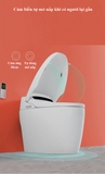K6905A - Bồn cầu thông minh cao cấp full chức năng, tự động mở nắp, sấy khô, sưởi ấm ghế ngồi...