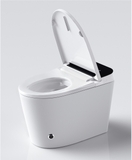 K6908 - Bồn cầu thông minh cao cấp full chức năng, tự động mở nắp, sấy khô, sưởi ấm ghế ngồi...