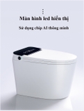 K6908 - Bồn cầu thông minh cao cấp full chức năng, tự động mở nắp, sấy khô, sưởi ấm ghế ngồi...