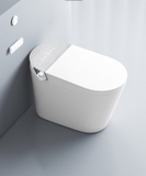 K6911 - Bồn cầu thông minh cao cấp full chức năng, tự động mở nắp, sấy khô, sưởi ấm ghế ngồi...