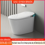 K6912 - Bồn cầu thông minh cao cấp full chức năng, tự động mở nắp, sấy khô, sưởi ấm ghế ngồi...