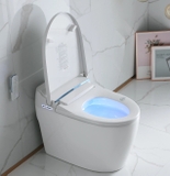 K6916 - Bồn cầu thông minh cao cấp full chức năng,  có xịt bọt