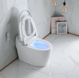 K6916 - Bồn cầu thông minh cao cấp full chức năng,  có xịt bọt