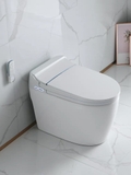 K6916 - Bồn cầu thông minh cao cấp full chức năng,  có xịt bọt