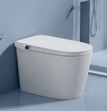 K6909 - Bồn Cầu Thông Minh nắp ngồi hình chữ U Vòng Mở Rộng Chỗ Ngồi. Bể Chứa Nước Giấu Kích Thước Lớn