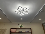 OT006 - 5 - Đèn pha lê ốp trần 5 cánh cao cấp đường kính 60cm
