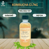 Kombucha Gừng 250 ml - Ginger Kombucha