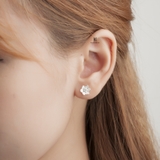 E STUD FLOWER WHITE 6 01