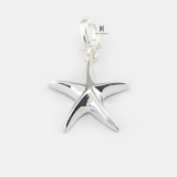 P LOCK STARFISH