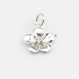 P APRICOT FLOWER PINK GEM