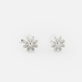 E STUD DAISY MATT FLOWER