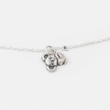 N KOALA