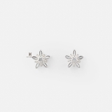 E STUD MINI DAISY FLOWER SINGLE GEM