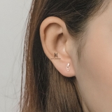 E STUD CUTE RABBIT AND CARROT GEM