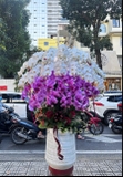 CHẬU HỒ ĐIỆP 25 CÀNH TRẮNG MIX HỒNG GÂN