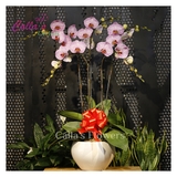 Hoa Sinh Nhật-KTT-005-La