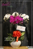 Hoa Khai Trương - KTT-005-Mix KTR