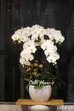 Hoa sinh nhật - KTT-005-Tr
