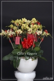Hoa Tết - KTT-015-Va