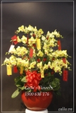 Hoa Tết - KTT- 030-Va